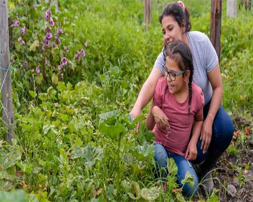 最佳代怀网:备孕能吃天然维生素c吗，备孕能吃天然维生素c吗女